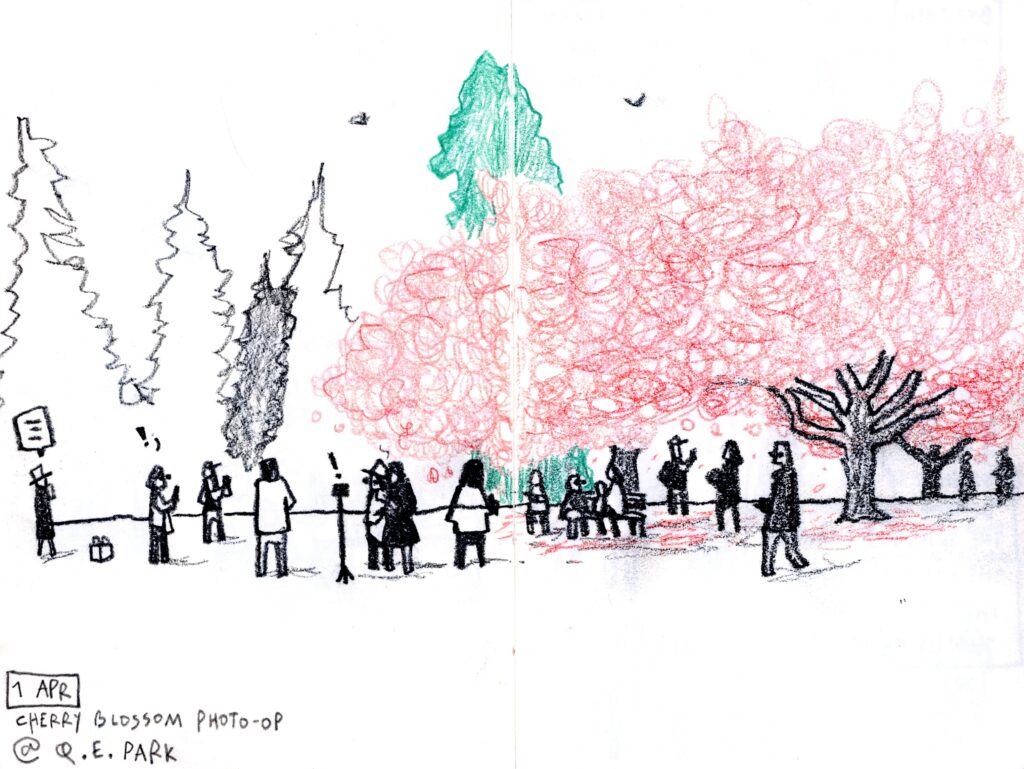 20240401 QEPark Blossoms