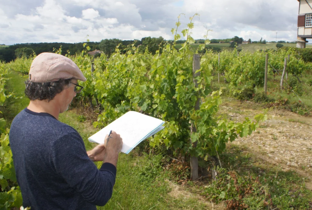 Paul Madonna - 2-INFO - Drawing in France