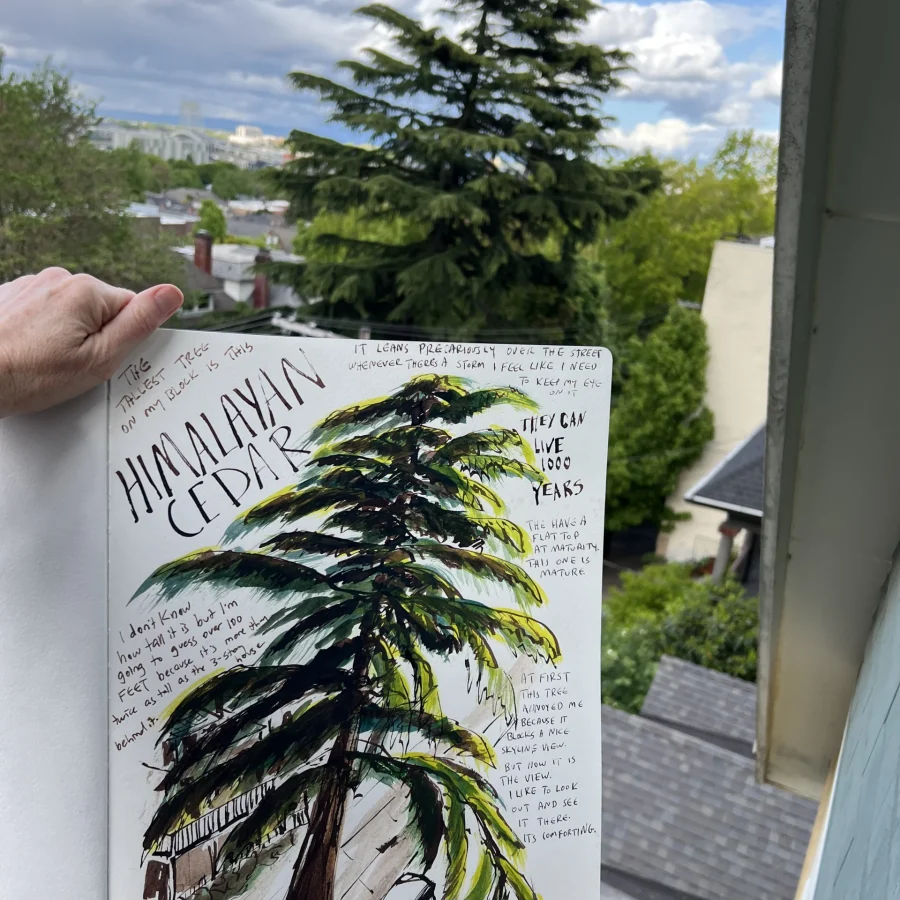 Amy Stewart artist talk or workshop2