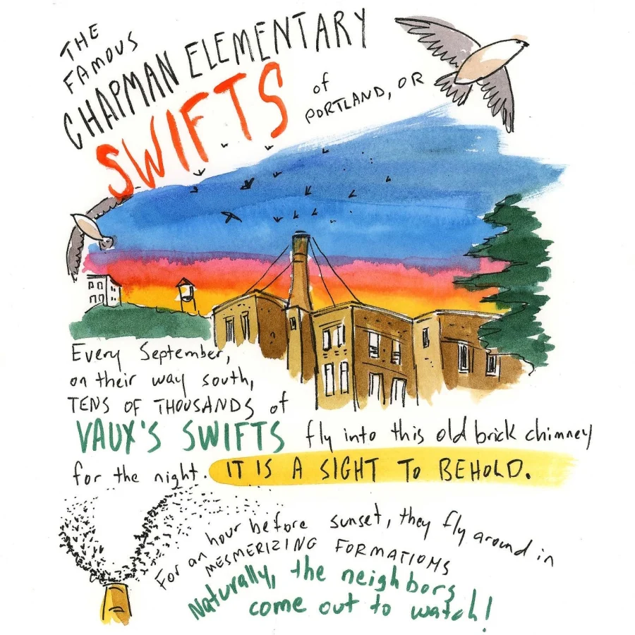 Amy Stewart artist talk3