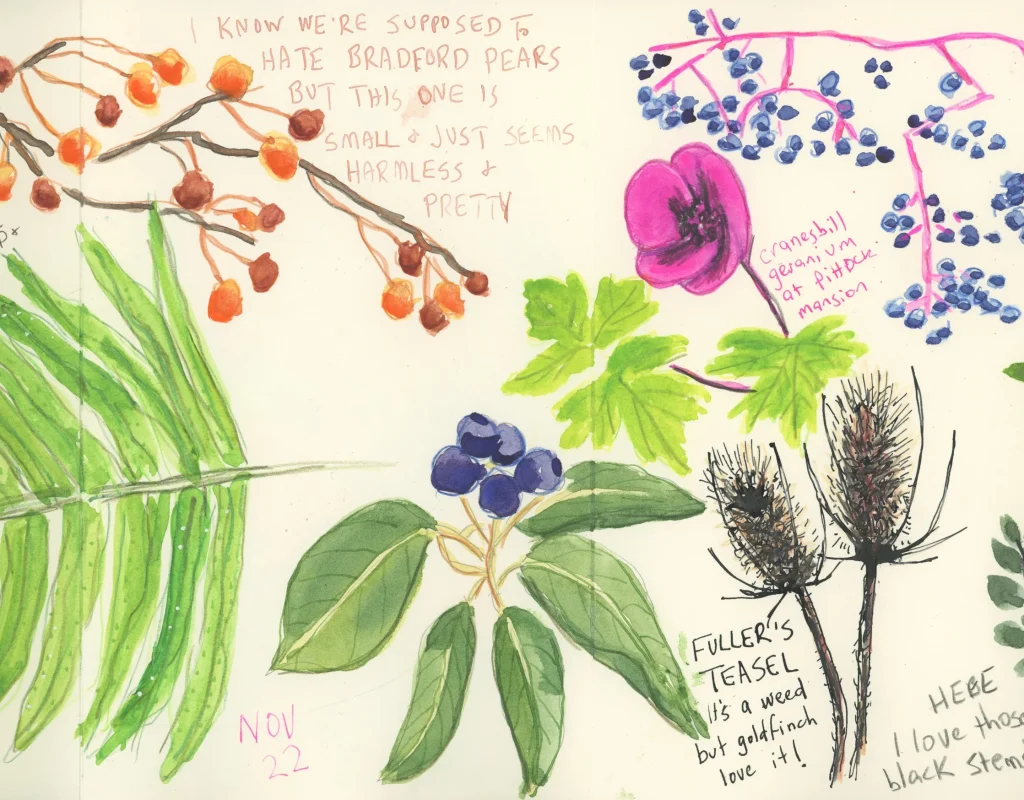 Amy Stewart workshop2